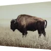 Brutus Wall Art