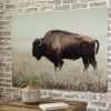 Brutus Wall Art