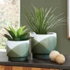 Ardenridge Planter (Set of 2)