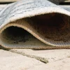 Daddridge Rug