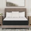 Limited Edition Plush Mattress