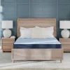 Ergo Comfort 2.0 Cushion Firm Mattress