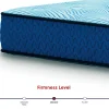 Ergo Comfort 2.0 Cushion Firm Mattress