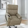 Next-Gen Durapella Power Lift Recliner