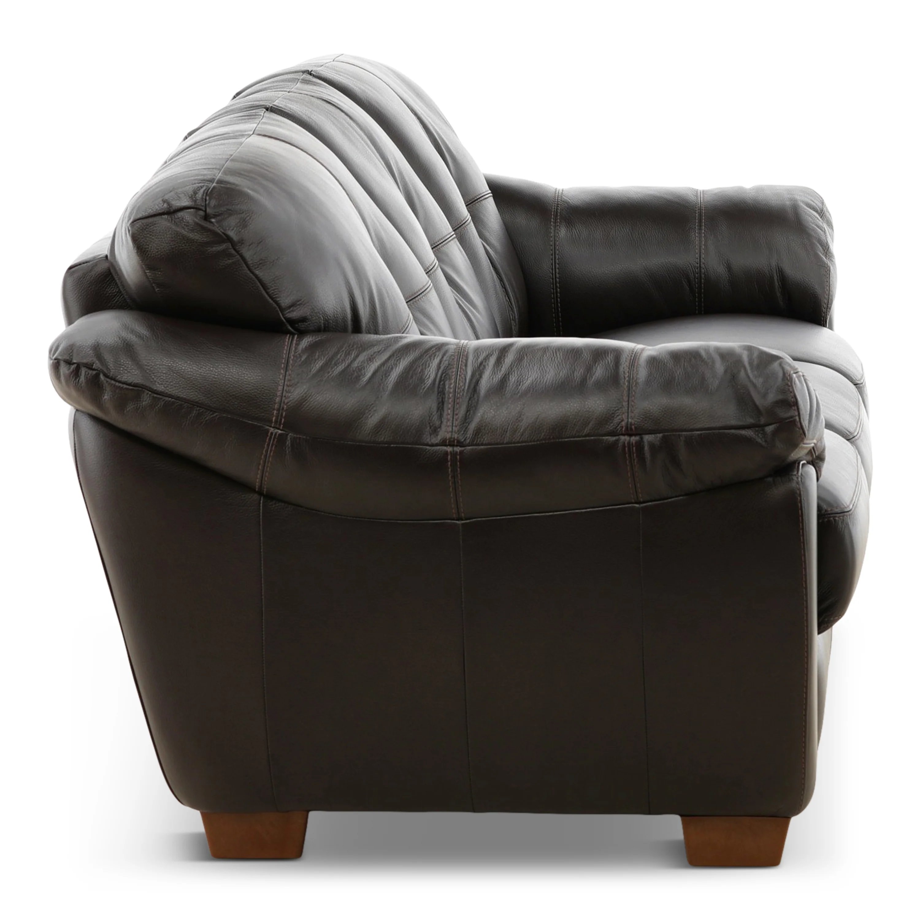 Camy Leather Sofa
