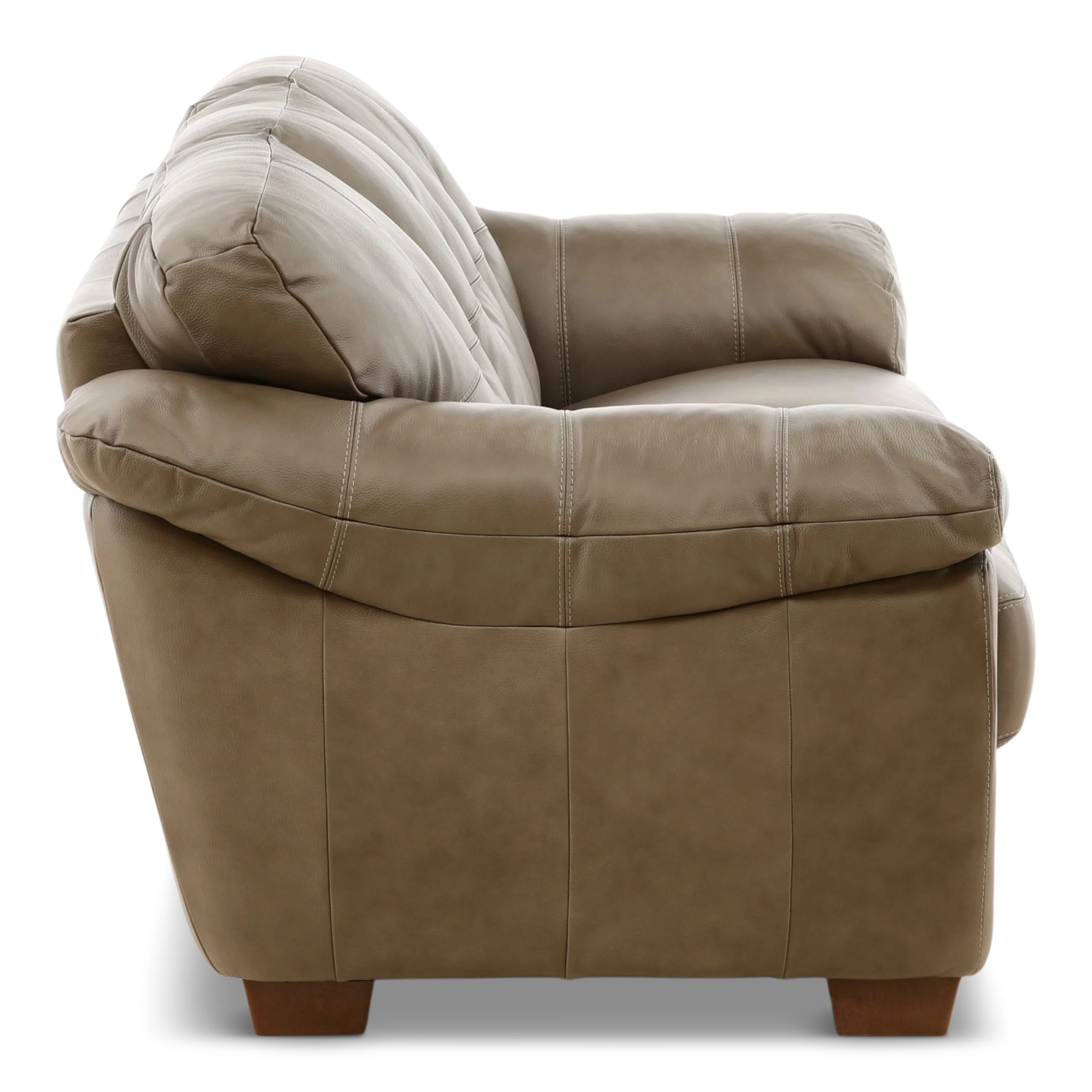 Camy Leather Sofa