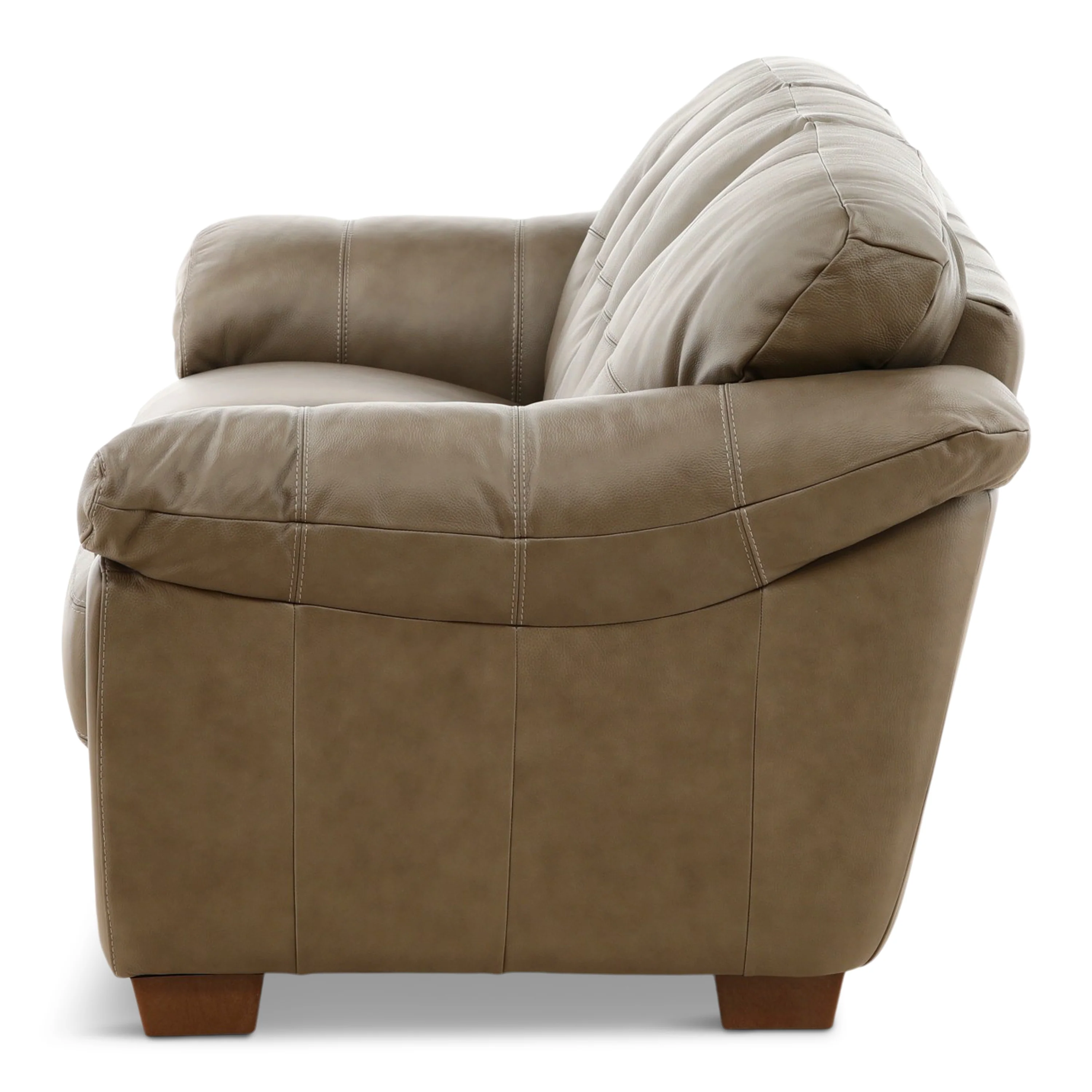 Camy Leather Sofa