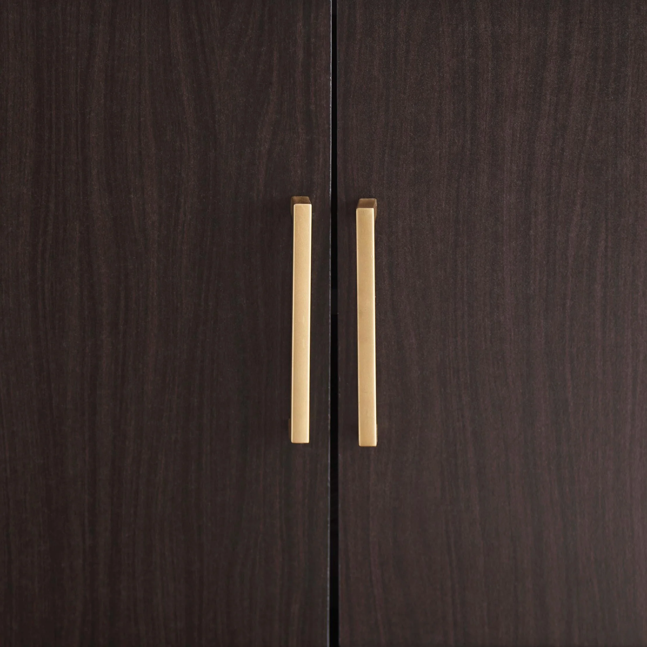 Orinfield 2-Door Accent Cabinet