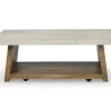 Brendalhouse Rectangular Coffee Table