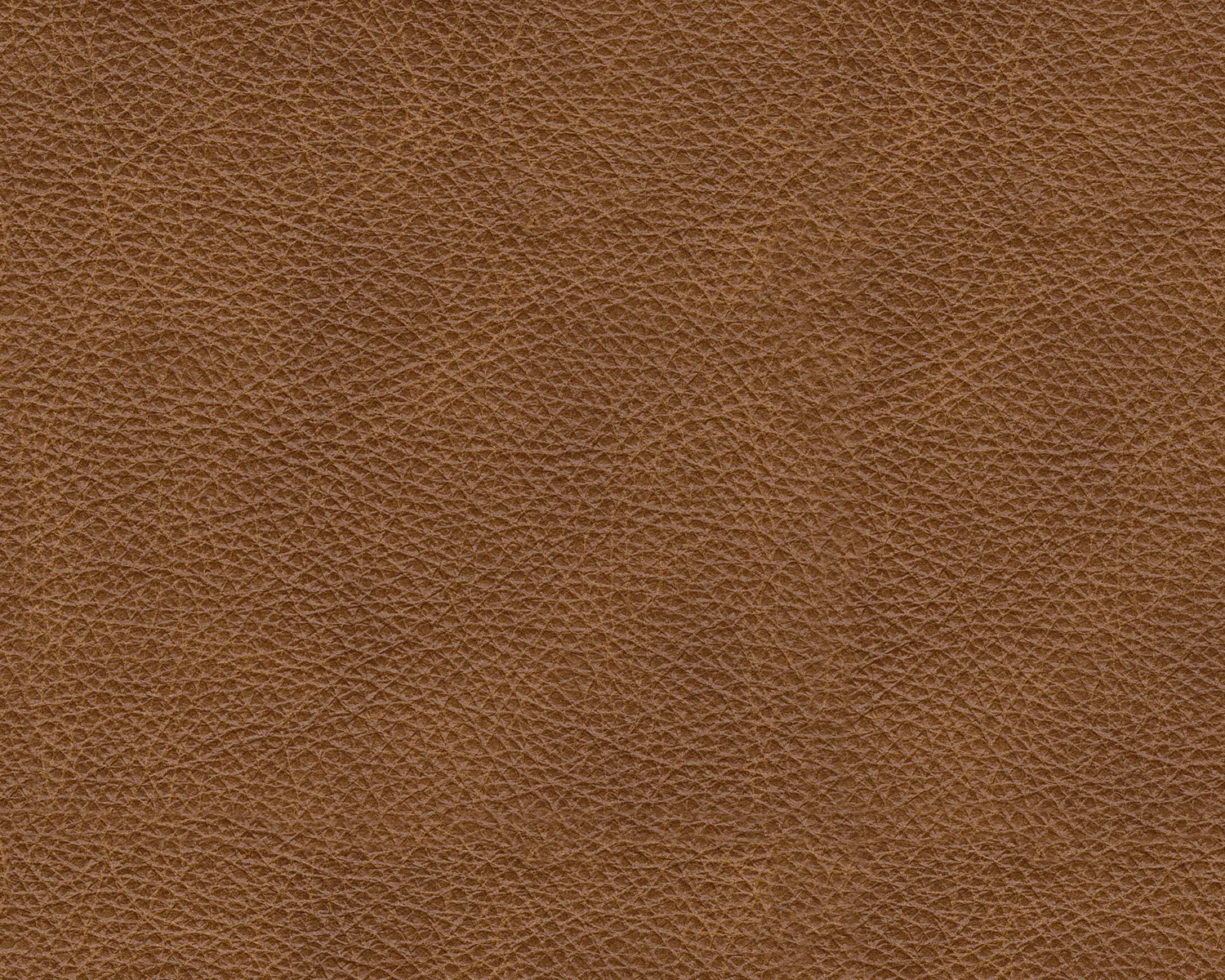 Emilia Oversized Accent Ottoman
