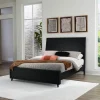 Ashley Danziar Panel Bed with Framed Panel Footboard