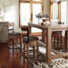 Pinnadel Counter Height Bar Stool (Set of 2)