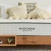 Avocado Blonde City Bed Frame