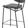 Charon Counter Stool (Set of 2)