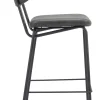 Charon Counter Stool (Set of 2)