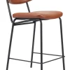 Charon Counter Stool (Set of 2)