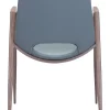 Desi Dining Chair (Set of 2)