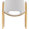 Desi Dining Chair (Set of 2)