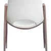 Desi Dining Chair (Set of 2)