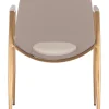 Desi Dining Chair (Set of 2)