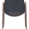 Desi Dining Chair (Set of 2)