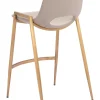 Desi Counter Stool (Set of 2)