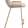 Desi Counter Stool (Set of 2)