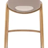 Desi Counter Stool (Set of 2)
