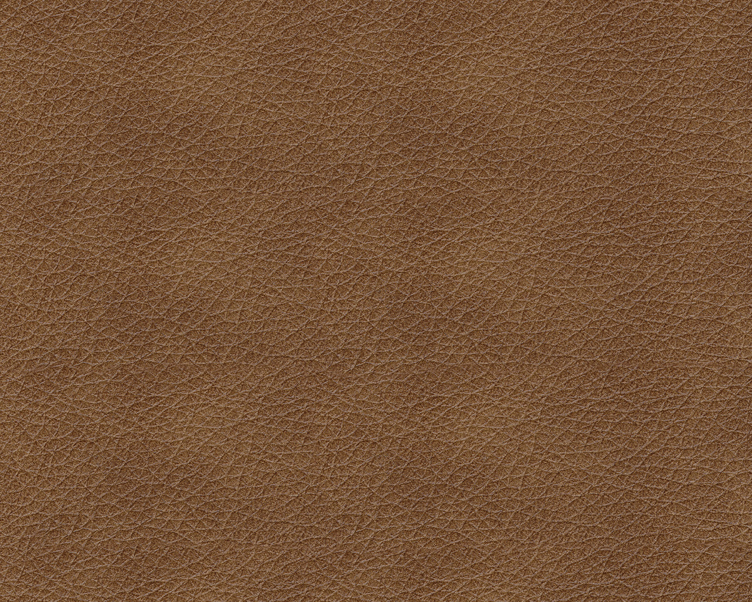 Bolsena Leather Rocker Recliner