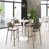 Ace Barstool (Set of 2)