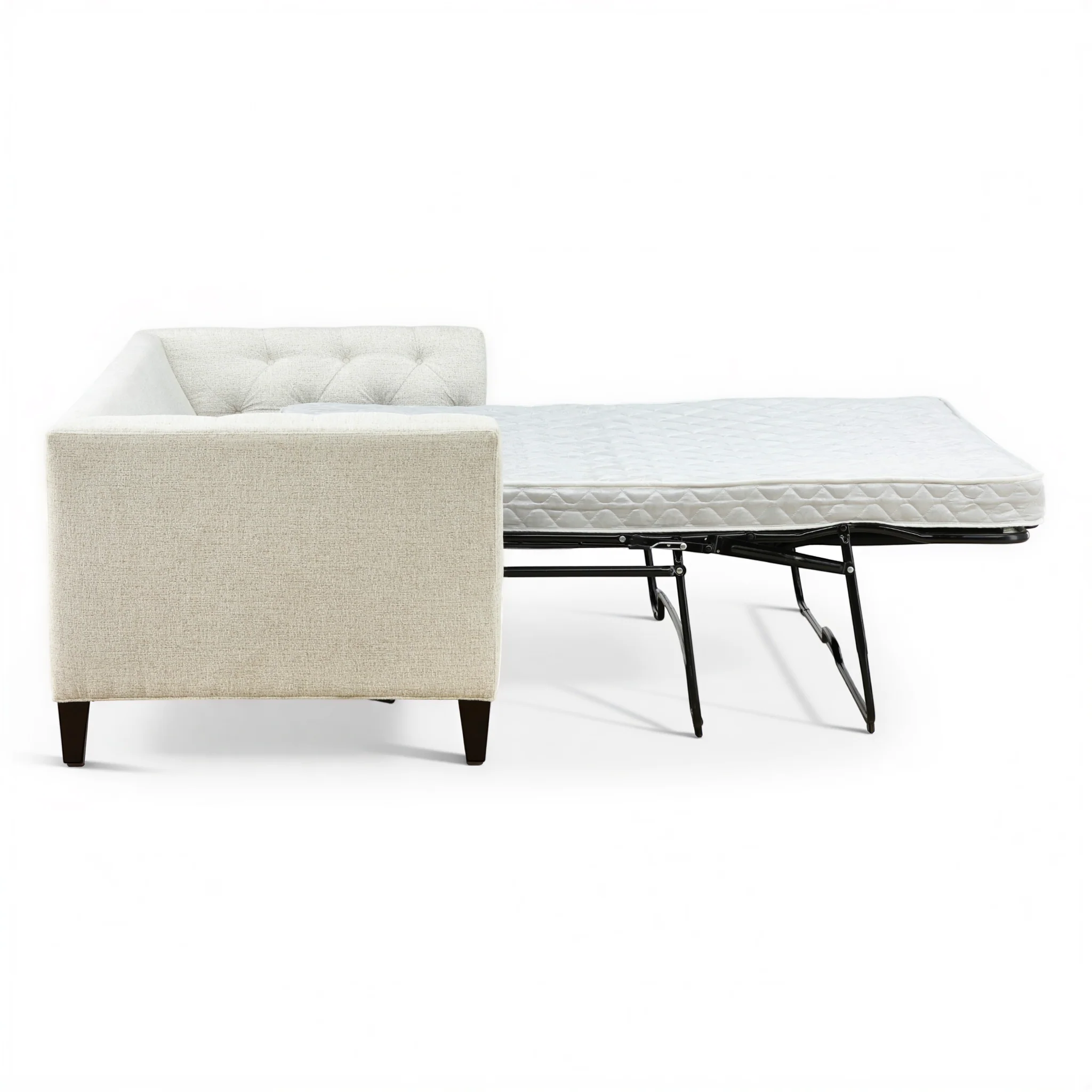 Rayna Sleeper Sofa