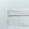 Avocado Green Plush Euro Top Mattress