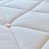 Avocado Green Plush Euro Top Mattress