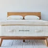 Avocado Green Plush Euro Top Mattress