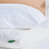 Avocado Organic Cotton Pillow Case
