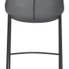 Magnus Counter Stool (Set of 2)