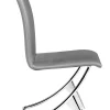 Delfin Dining Chair (Set of 2) Gray