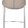 Magnus Counter Stool (Set of 2) Brown & Silver