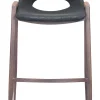 Desi Barstool (Set of 2) Black & Walnut