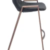 Desi Barstool (Set of 2) Black & Walnut
