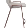 Desi Counter Stool (Set of 2) Beige & Walnut