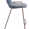 Desi Counter Stool (Set of 2) Blue & Walnut