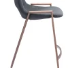 Desi Counter Stool (Set of 2) Black & Walnut