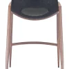 Desi Counter Stool (Set of 2) Black & Walnut