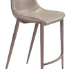 Magnus Counter Stool (Set of 2) Brown & Walnut