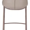 Magnus Counter Stool (Set of 2) Brown & Walnut