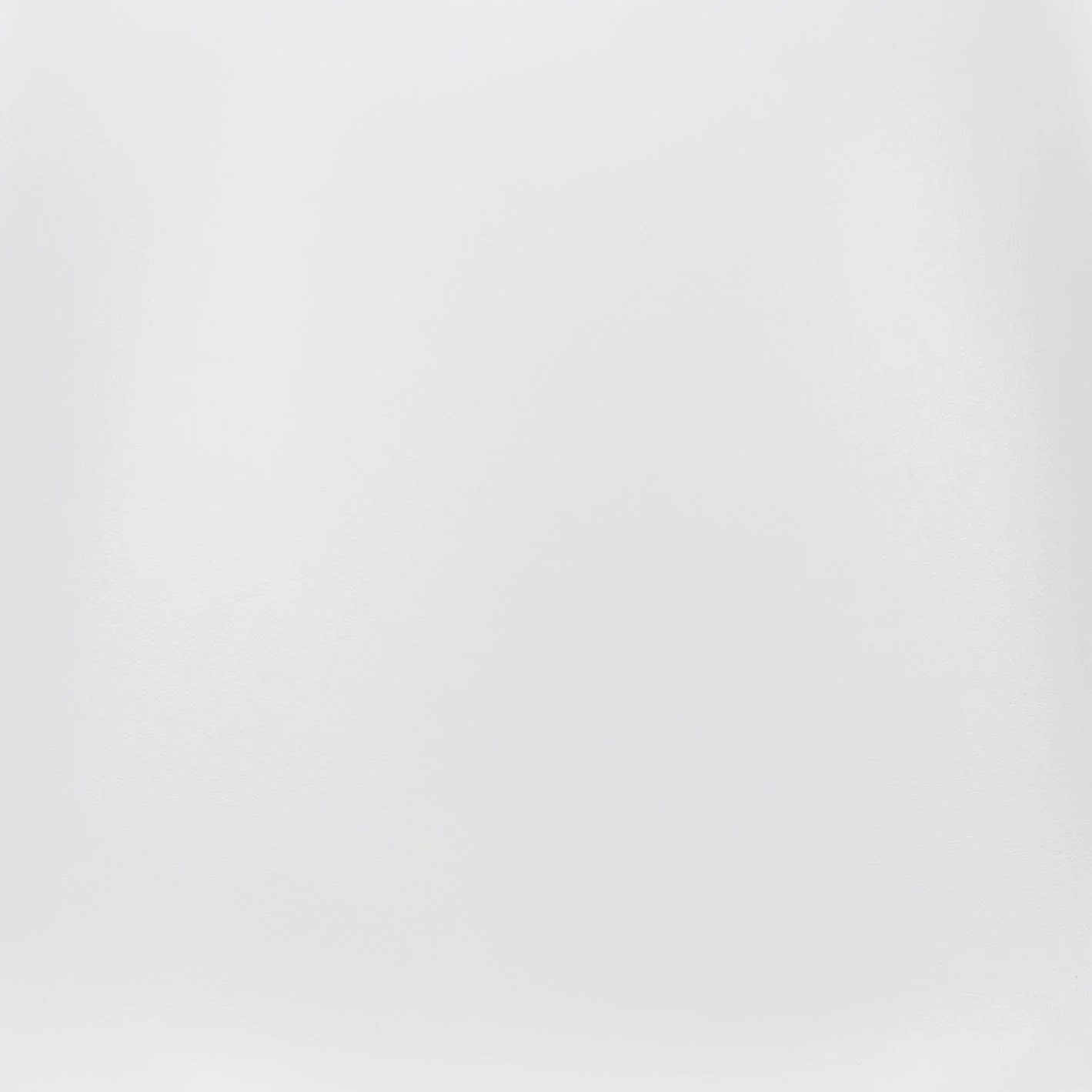 Ace Dining Chair (Set of 2) White & Silver