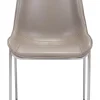 Magnus Dining Chair (Set of 2) Brown & Silver
