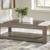 Loyaska Lift-Top Coffee Table